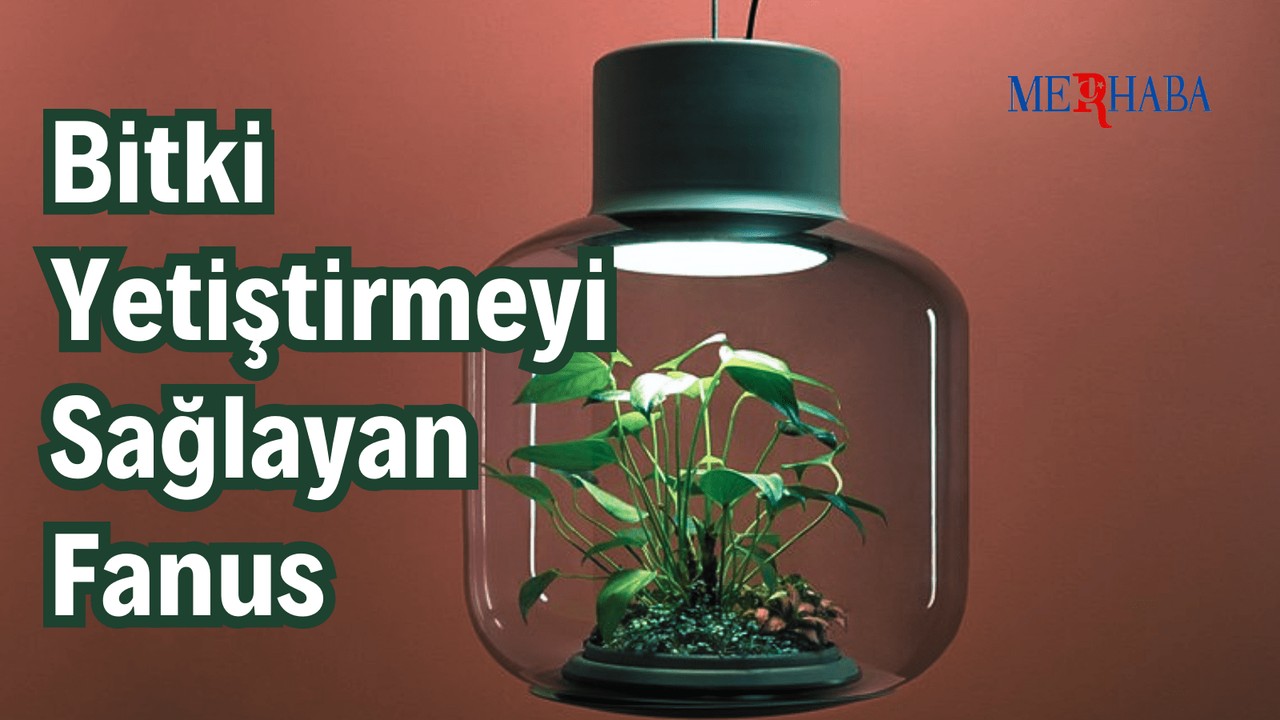Bitki Yetiştirmeyi Sağlayan Fanus