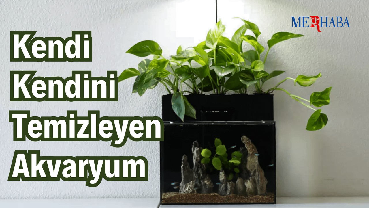 Kendi Kendini Temizleyen Akvaryum