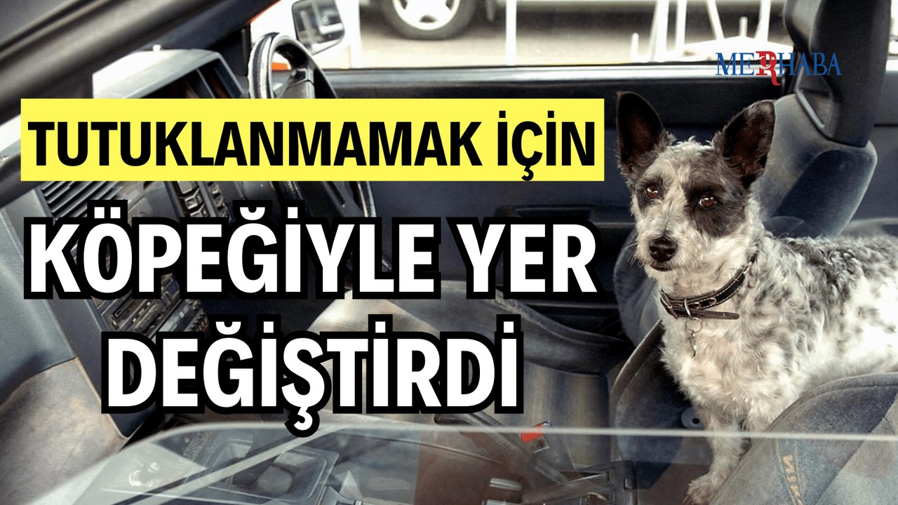 Sürücü Köpeğiyle Yer Değiştirdi