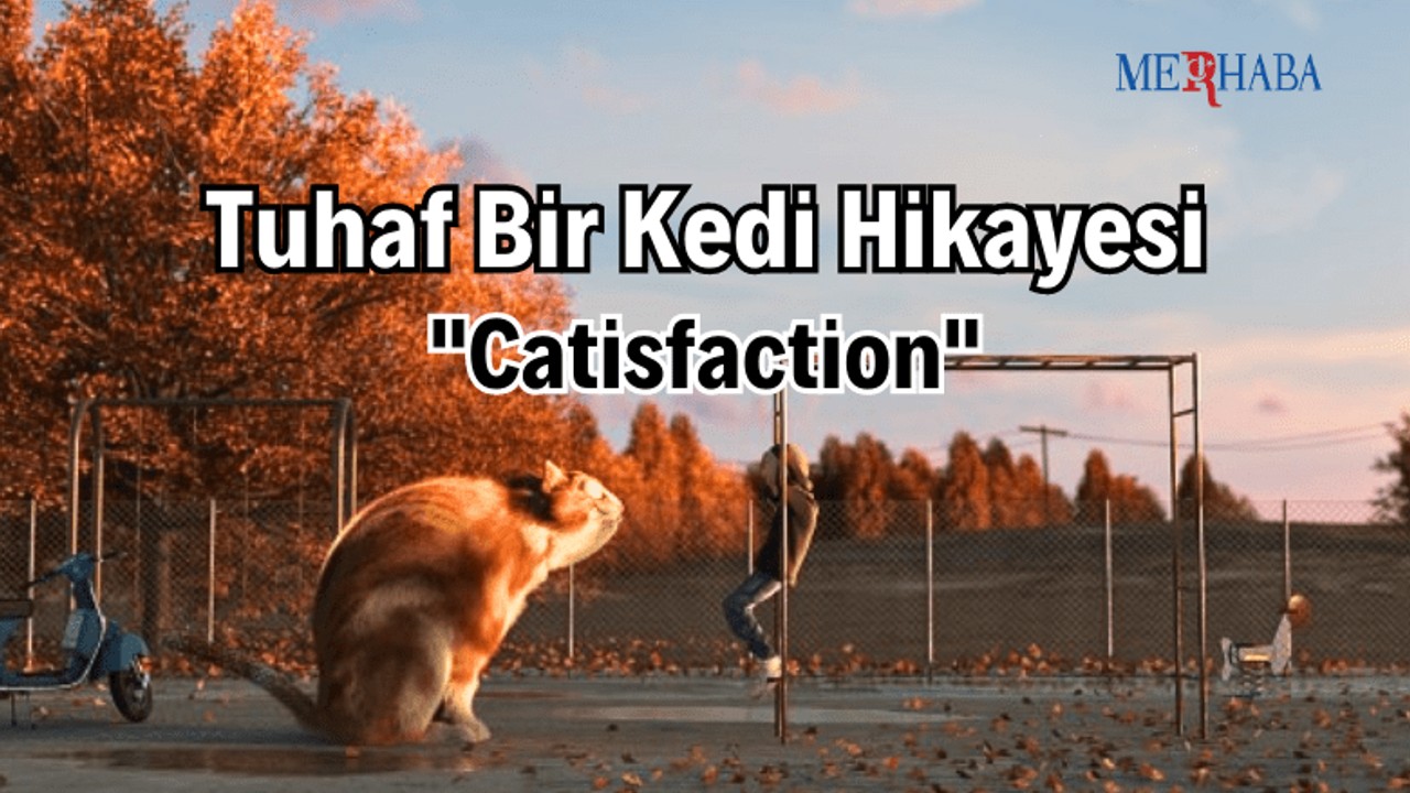 Tuhaf Bir Kedi Hikayesi