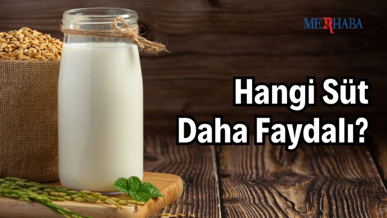 Hangi Süt Daha Faydalı?