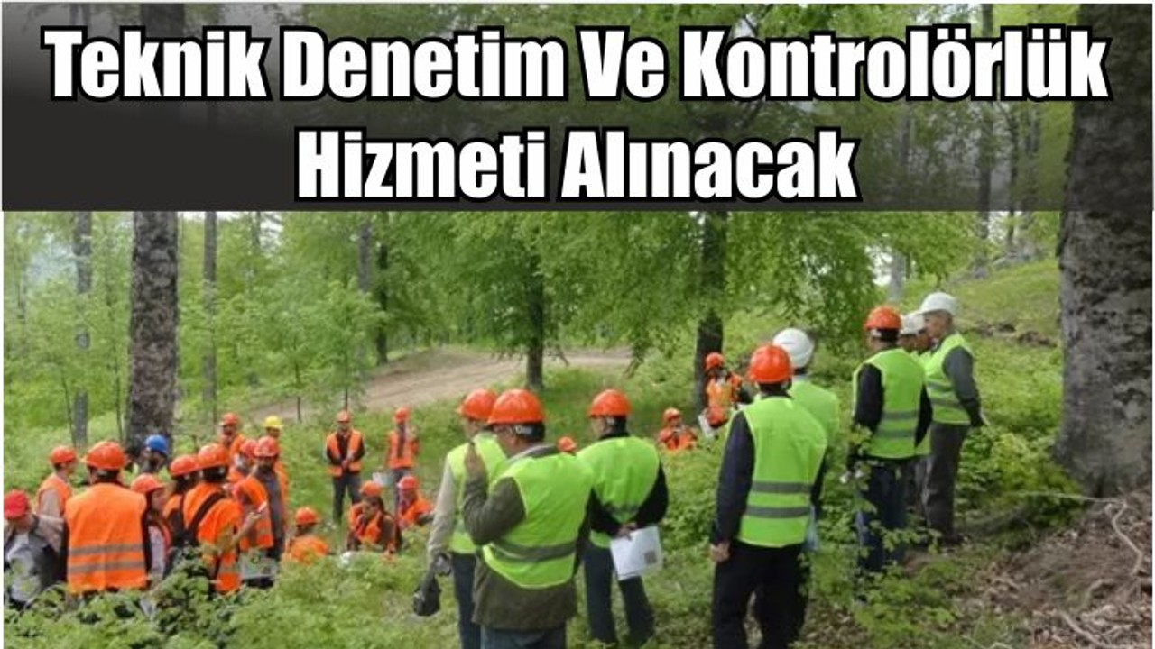 Teknik denetim ve kontrolörlük hizmeti alınacak