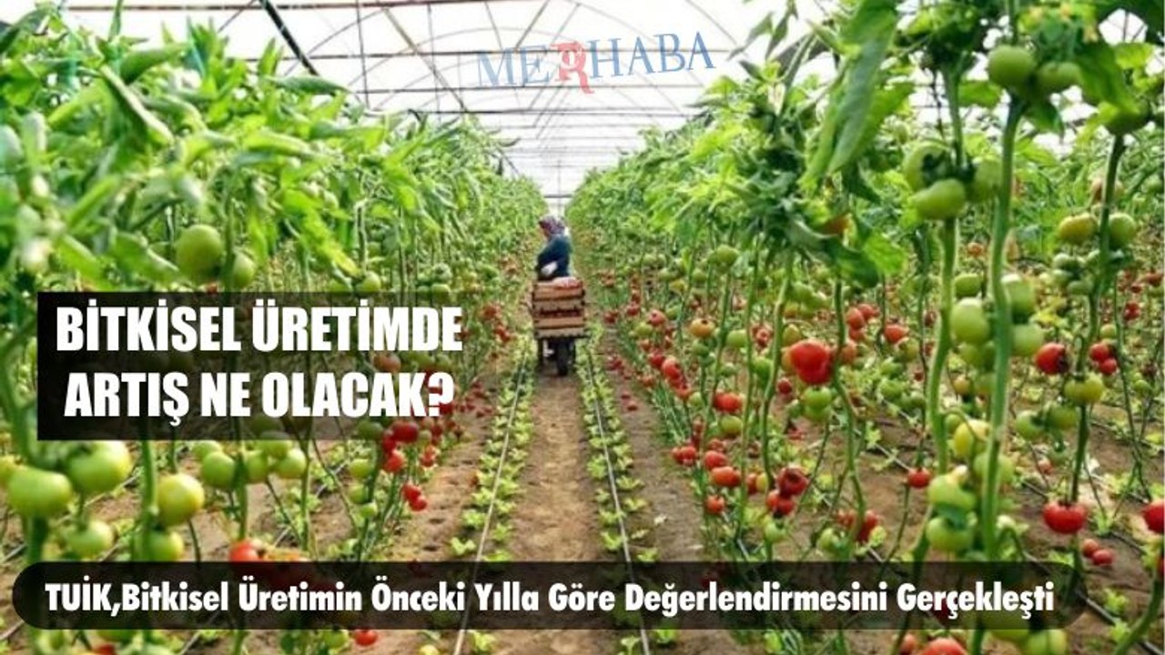 Bitkisel Üretimde Artış