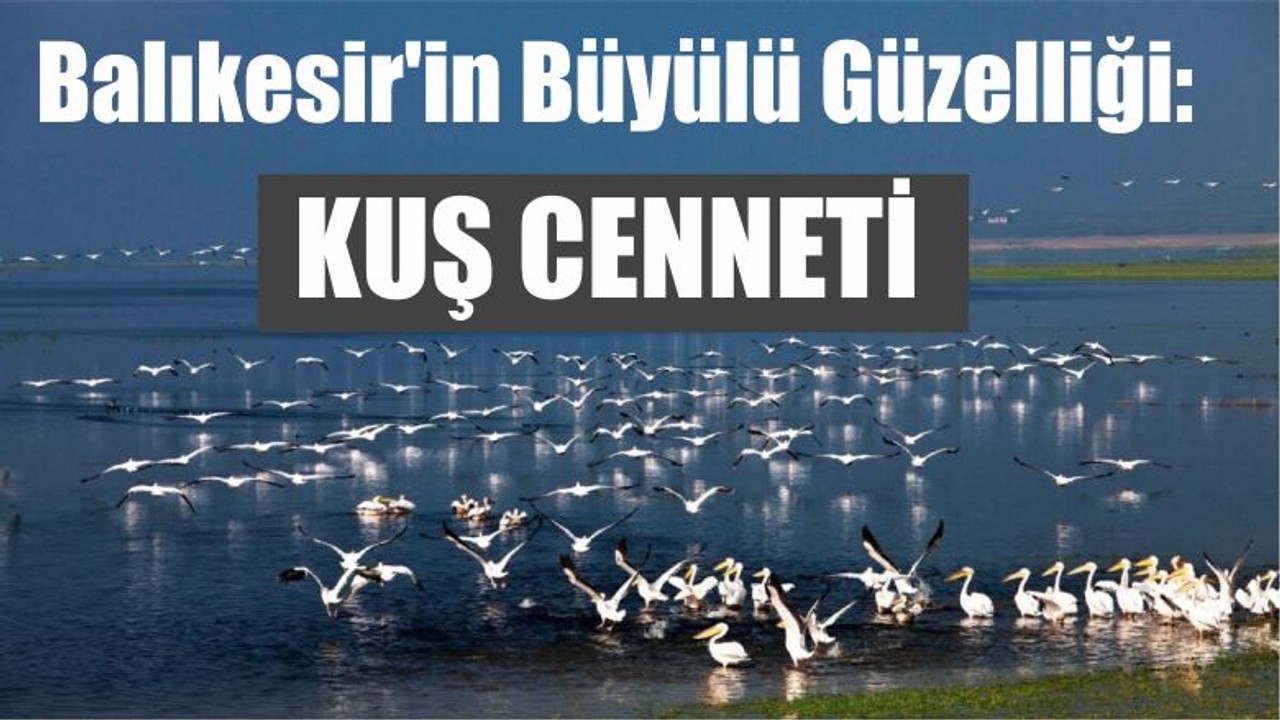 Balıkesir'in Büyülü Güzelliği: Kuş Cenneti