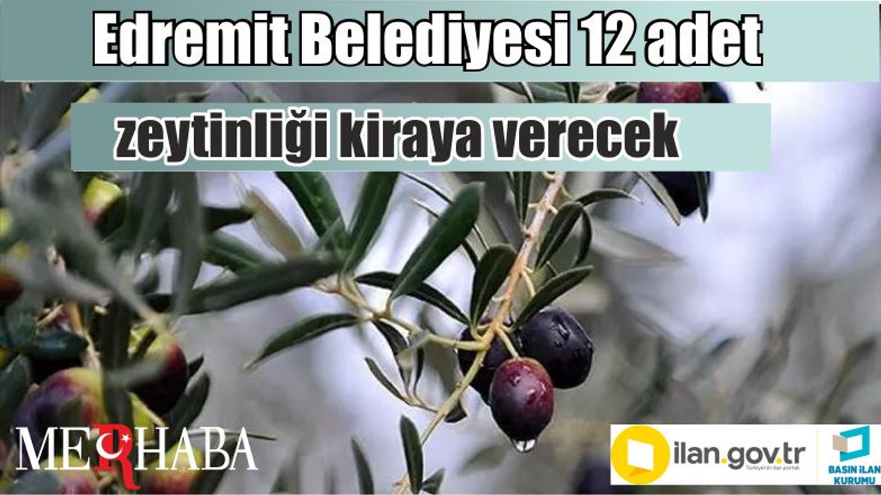 Edremit Belediyesi 12 adet zeytinliği kiraya verecek