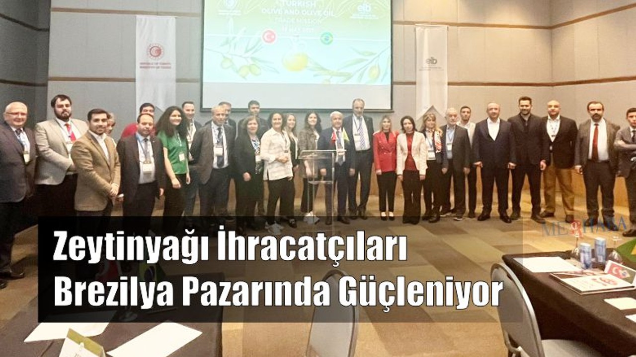 Zeytin ve Zeytinyağı Birezilya'da