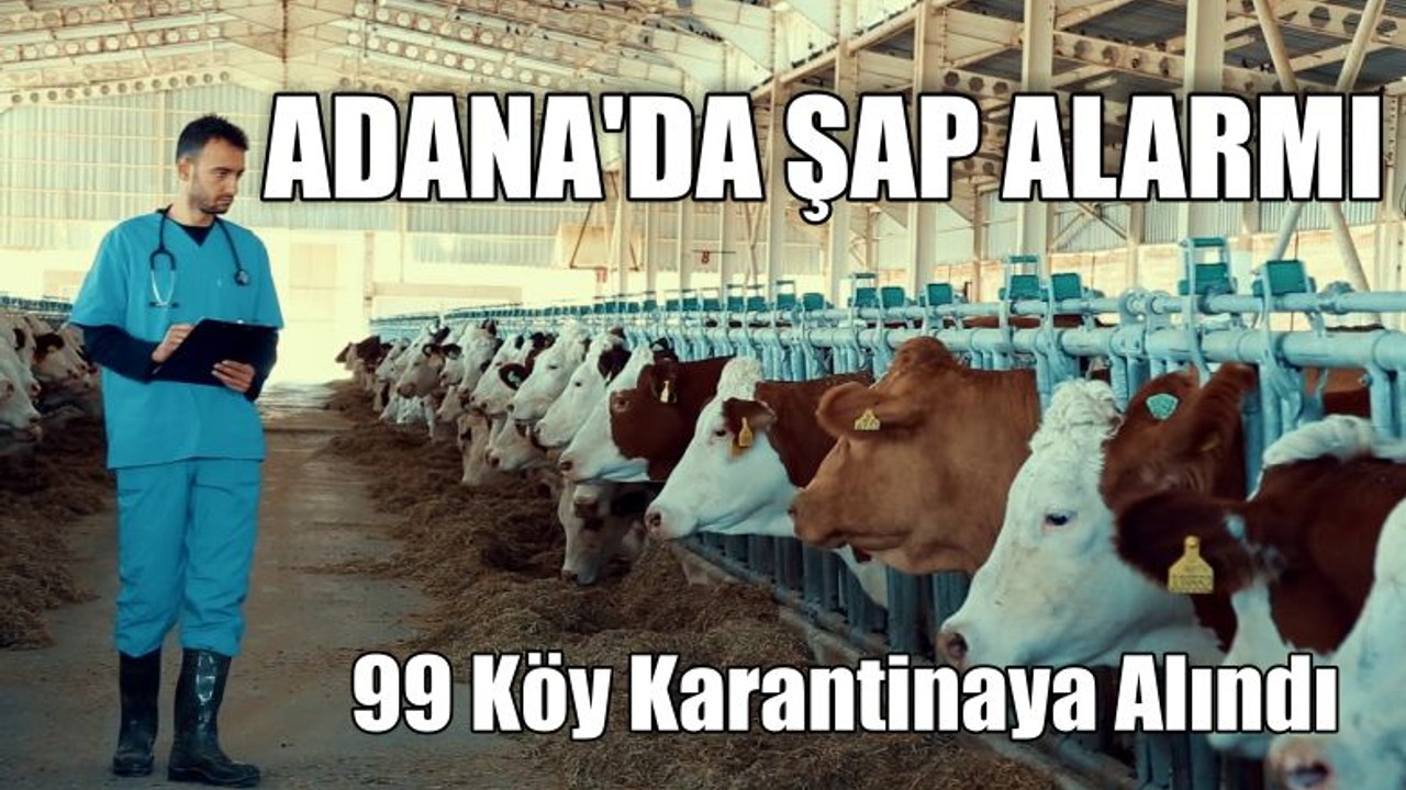 Adana'da Şap Alarmı