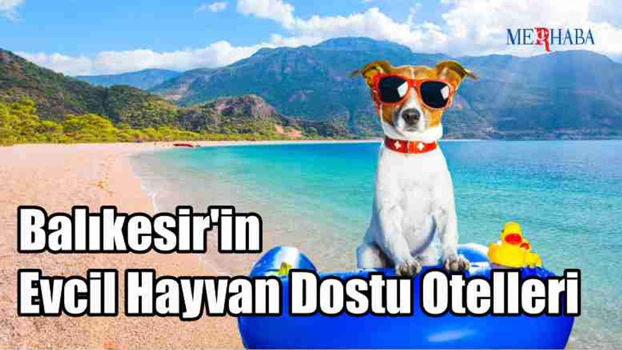 Balıkesir'in Hayvan Dostu Otelleri
