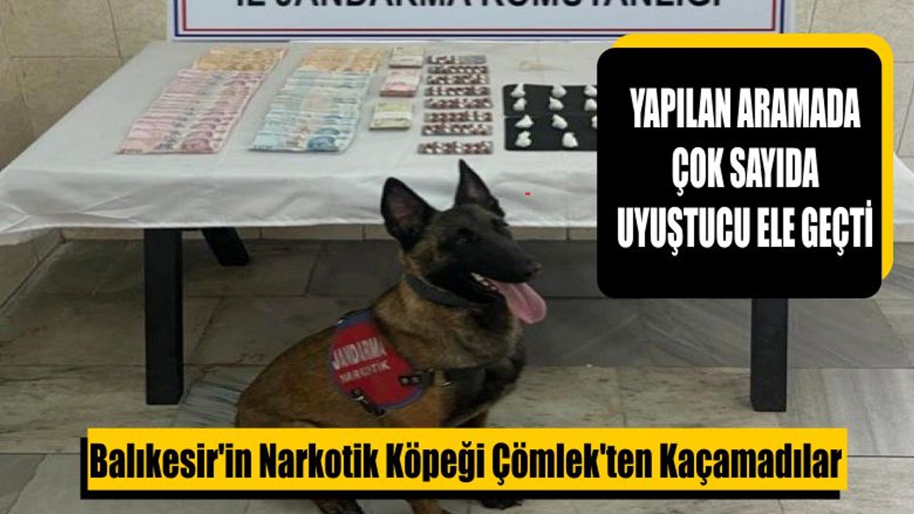 Balıkesir'in Narkotik Köpeği Çömlek'ten Kaçamadılar
