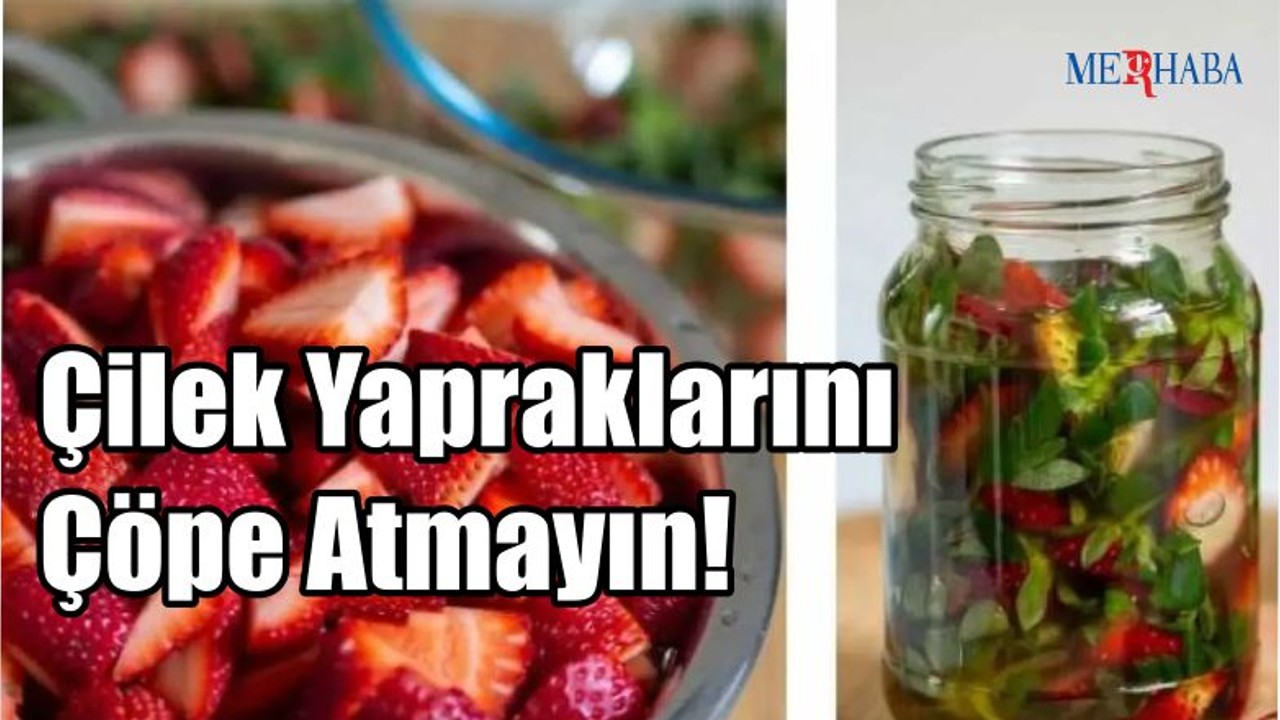 Çilek Yapraklarını Çöpe Atmayın!