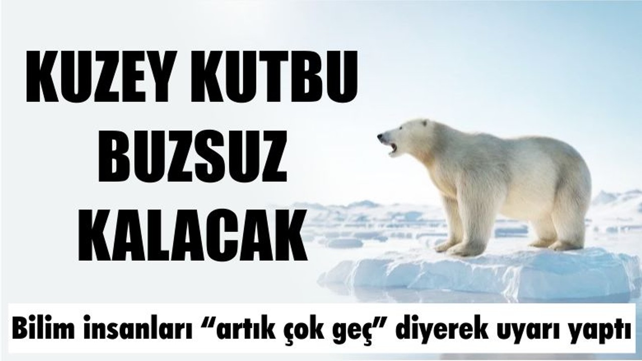 Kuzey Kutbu Buzsuz Kalacak