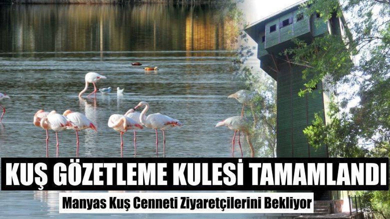 Manyas Kuş Cenneti Ziyaretçilerini Bekliyor