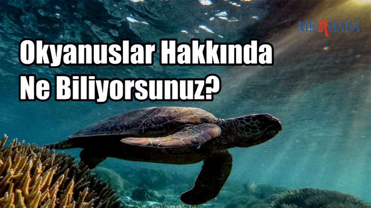 Okyanuslar Hakkında Ne Biliyorsunuz?