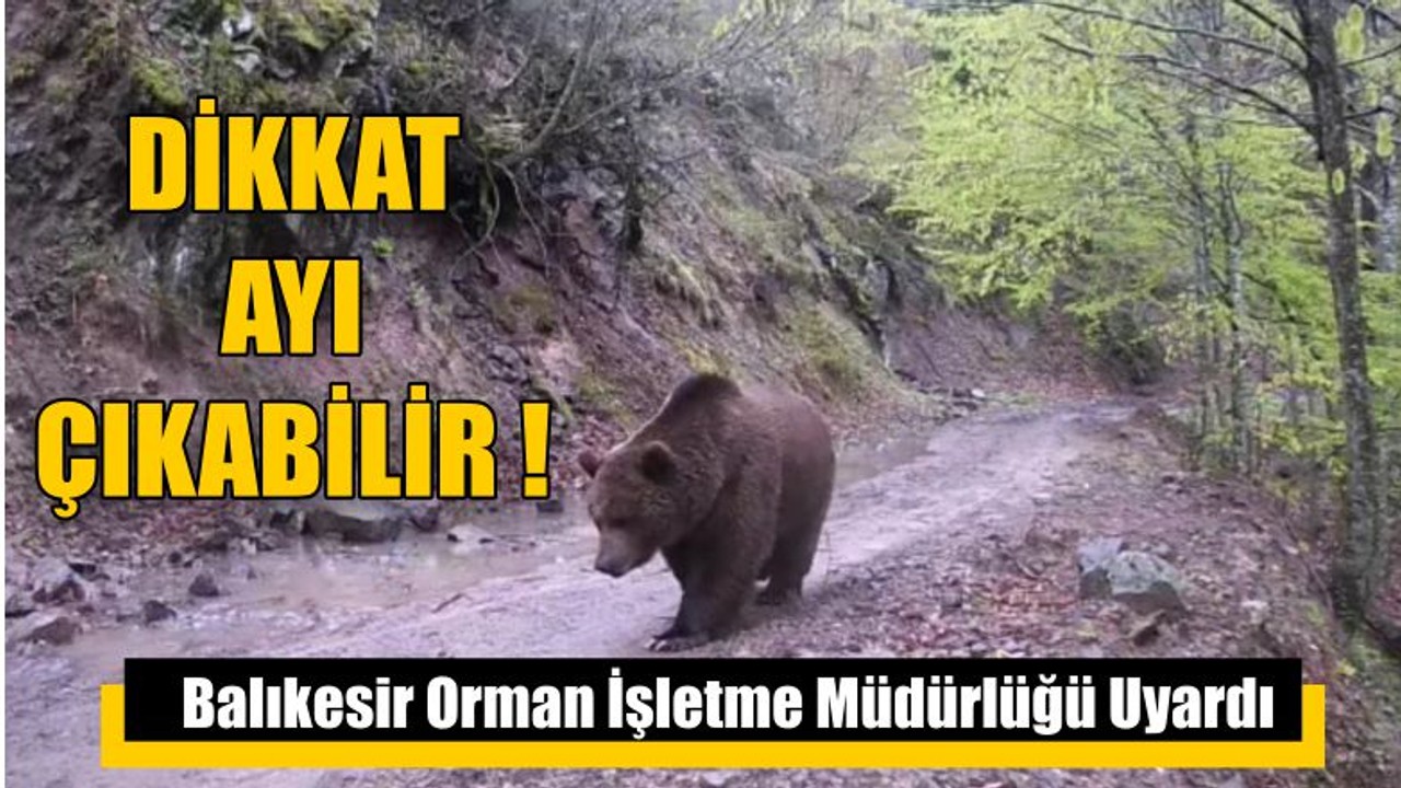 Orman İşletme Müdürlüğü Uyardı