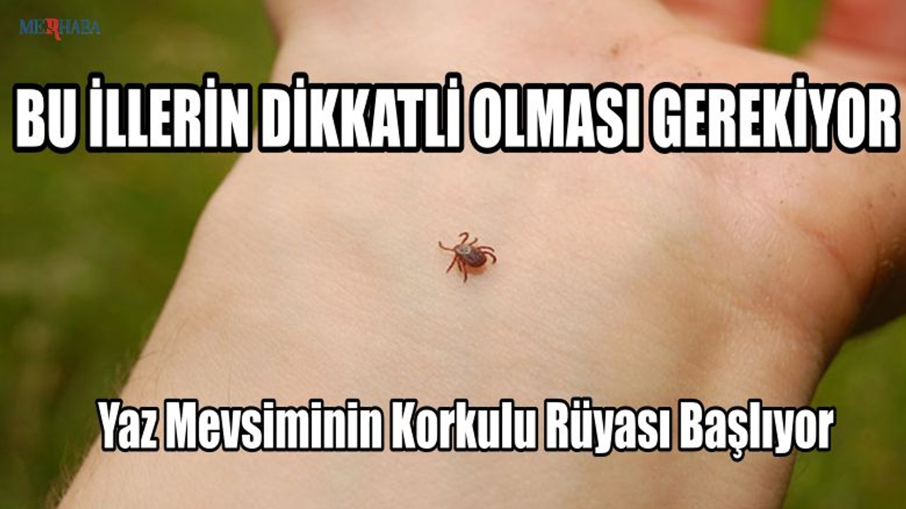 Yaz Mevsiminin Korkulu Rüyası Başlıyor