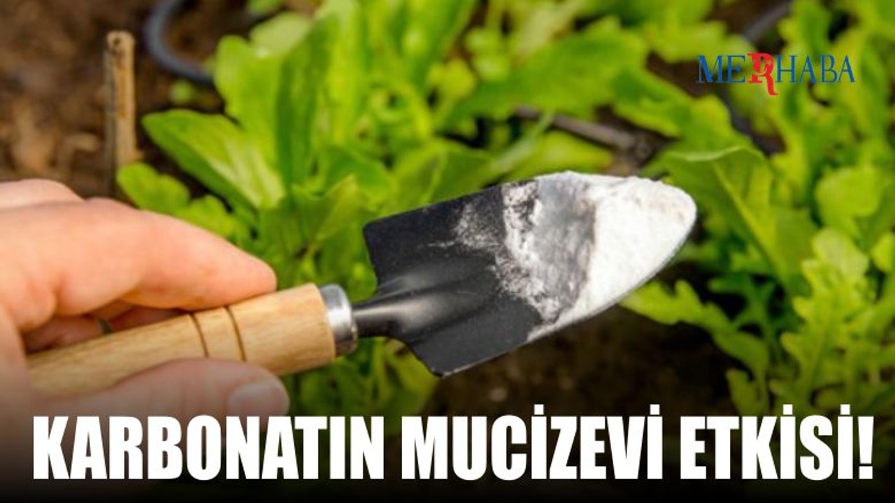 Bahçenizin Dostu: Karbonat