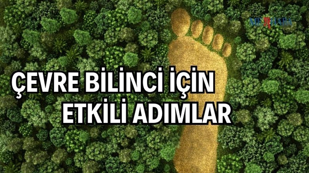 Çevreyi Korumada Etkili Adımlar