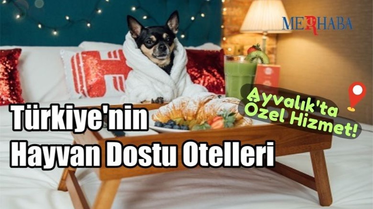 Türkiye'nin Hayvan Dostu Otelleri