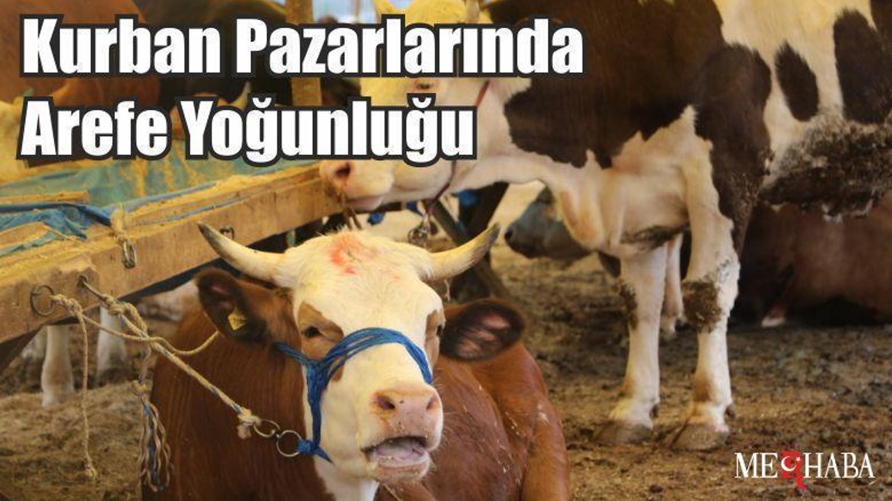 Kurban Pazarlarında Arefe Yoğunluğu