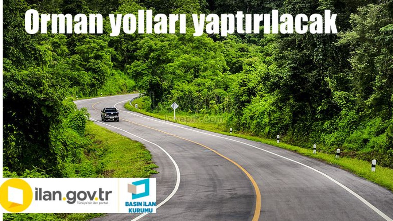 Orman yolları yaptırılacaktır