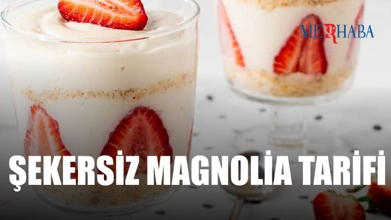 Şekersiz Çilekli Magnolia Tarifi