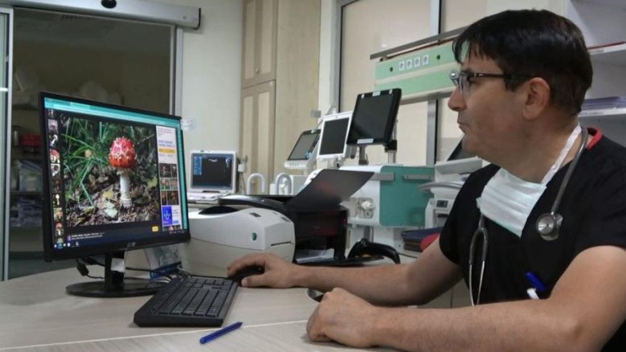 Uzmanlar Mantar Zehirlenmesine Karşı Uyardı