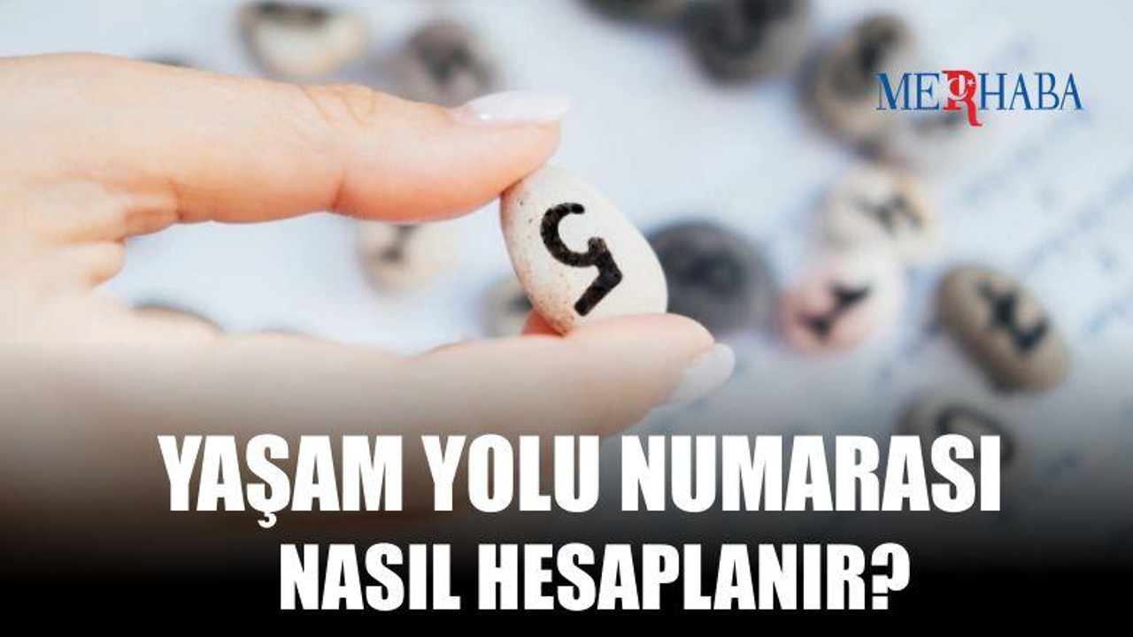 Yaşam Yolu Numarası Hesaplama