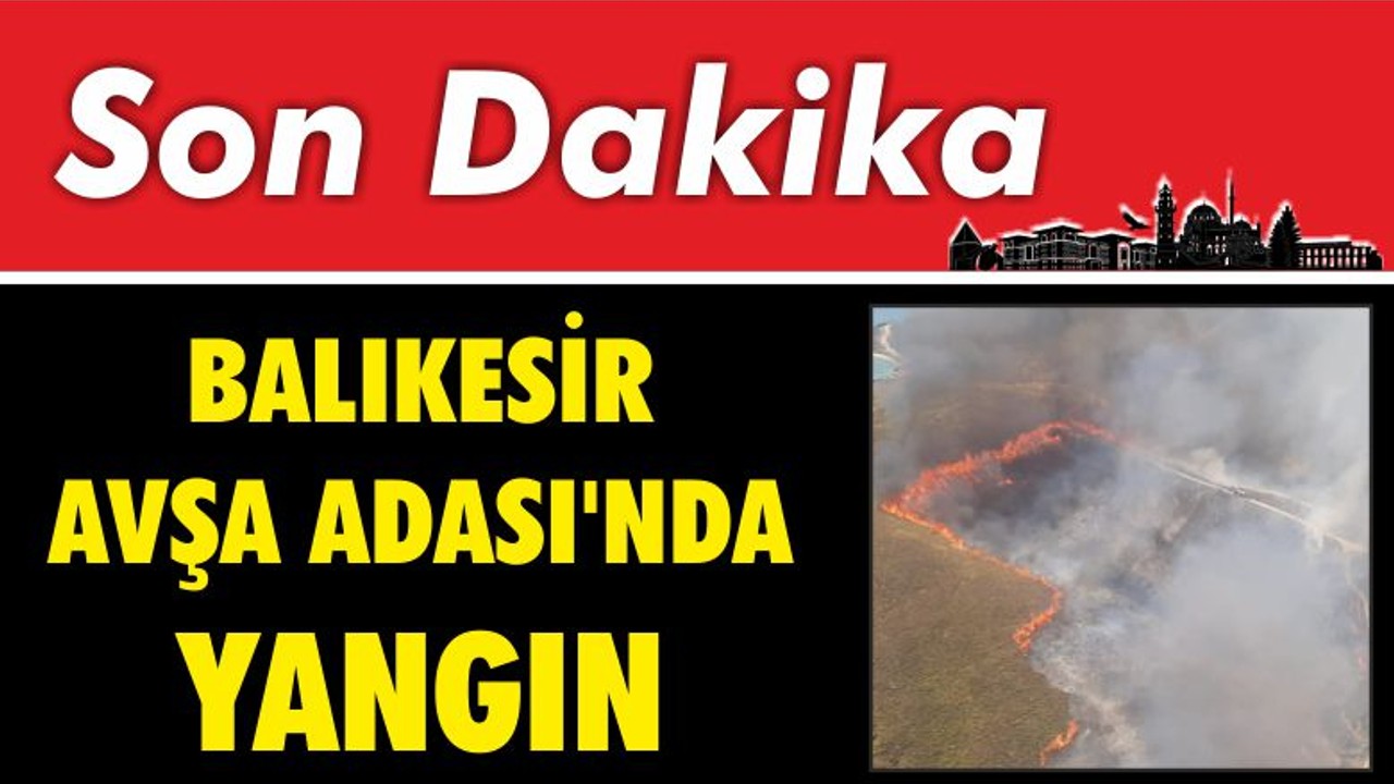 Balıkesir Avşa Adası'nda Yangın