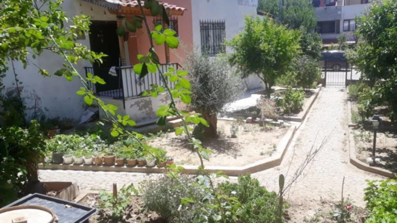 Balıkesir'de Aç Kalan Tikiler Sokaklara İndi