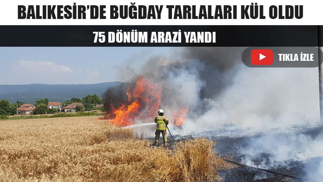 Balıkesir’de Buğday Tarlaları Kül Oldu