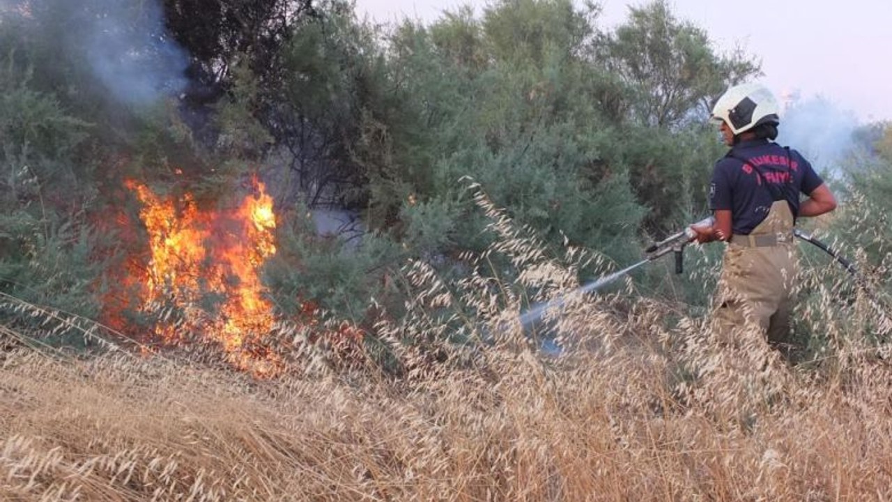 Balıkesir'de Karga Yangın Çıkardı