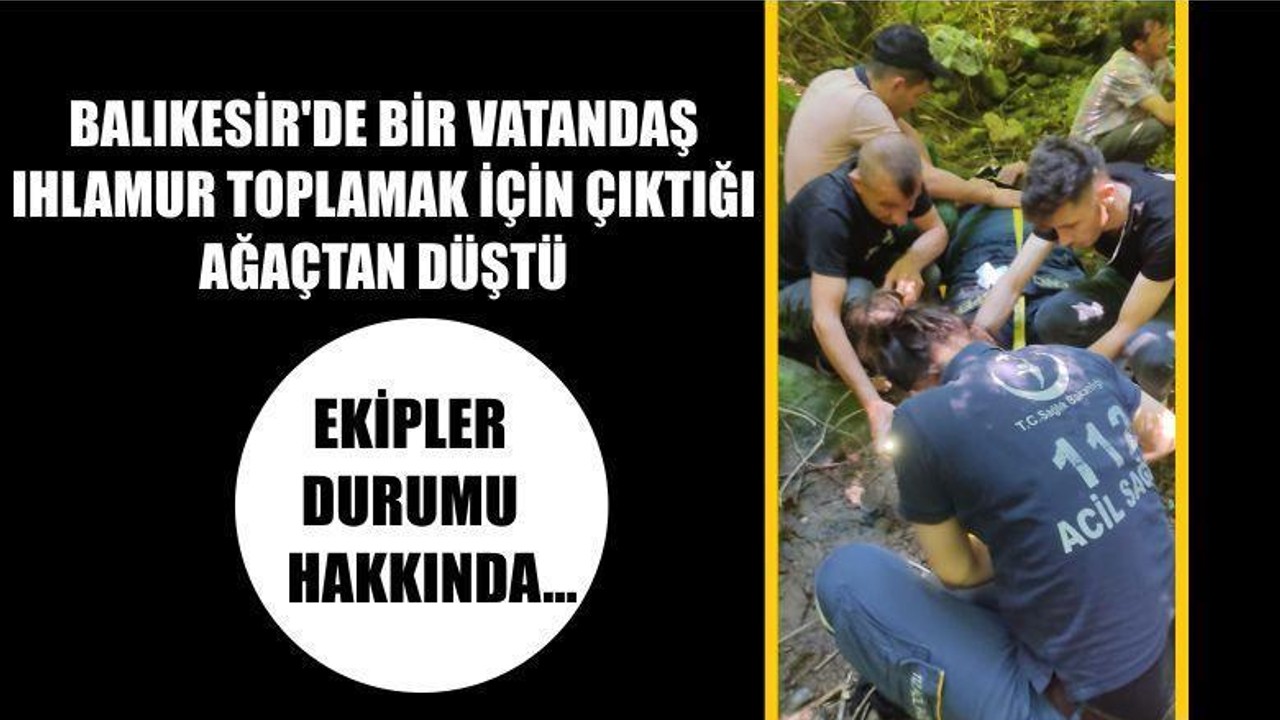 Balıkesir'de Vatandaş Ihlamur Toplamak İçin Çıktığı Ağaçtan Düştü