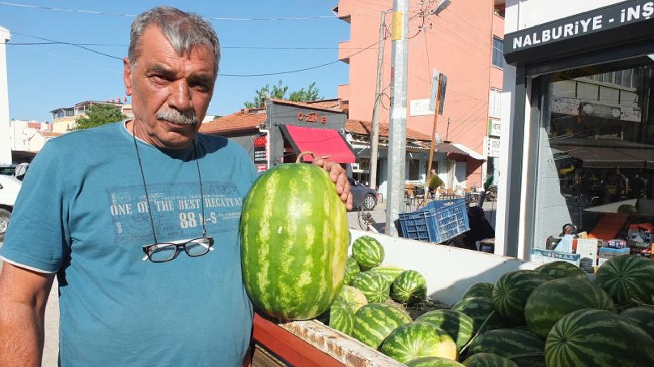 Burhaniye'de Emekli Öğretmen Toprağın Ustası Oldu