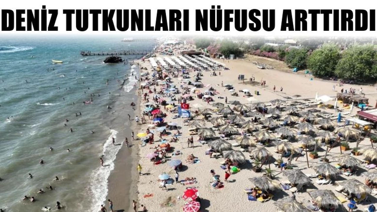 Deniz Tutkunları Nüfusu Arttırdı