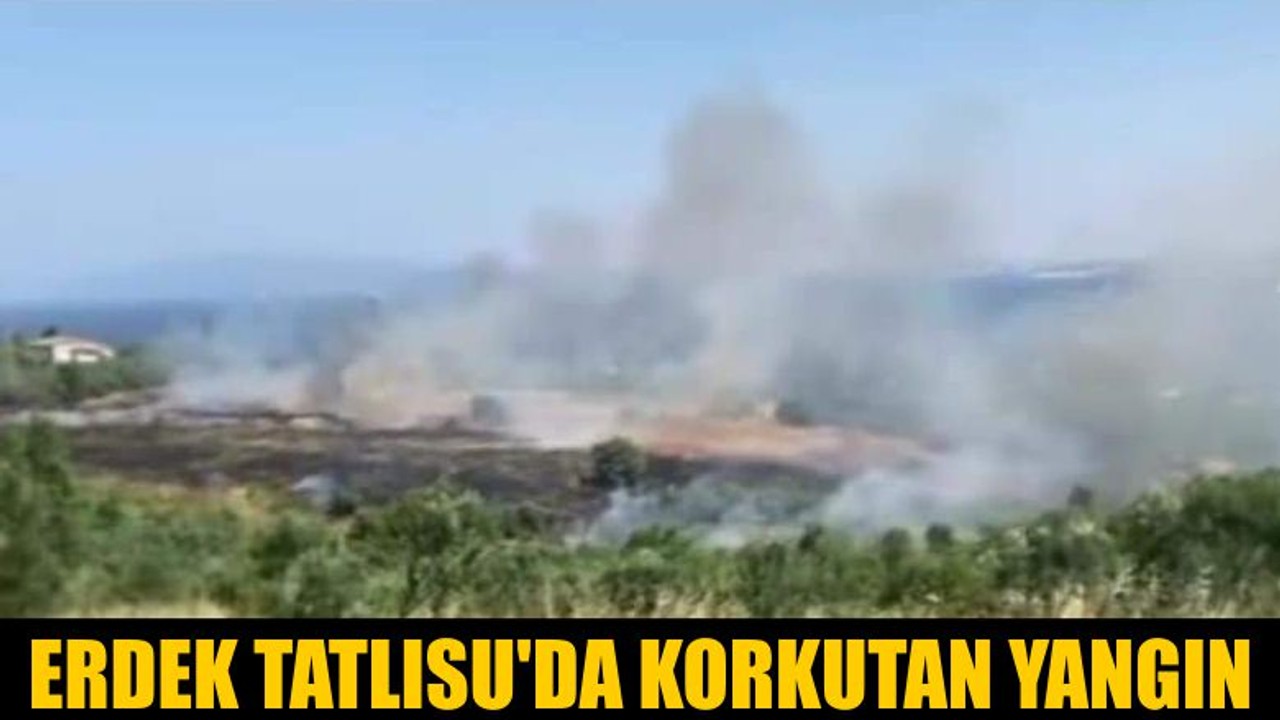 Erdek Tatlısu'da Korkutan Yangın