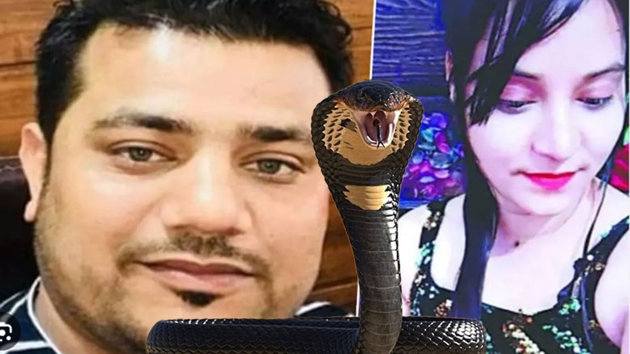 Sevgilisini Kobrayla Zehirledi