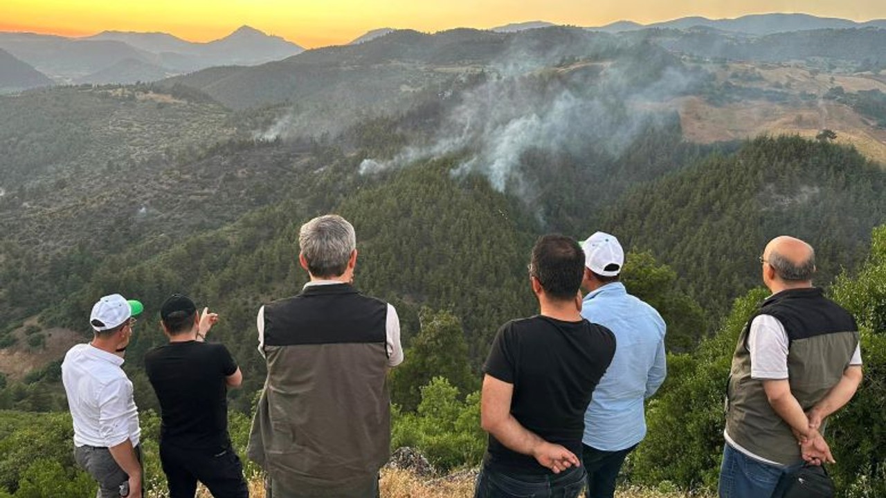 Sındırgı'daki Yangın Kontrol Altına Alındı