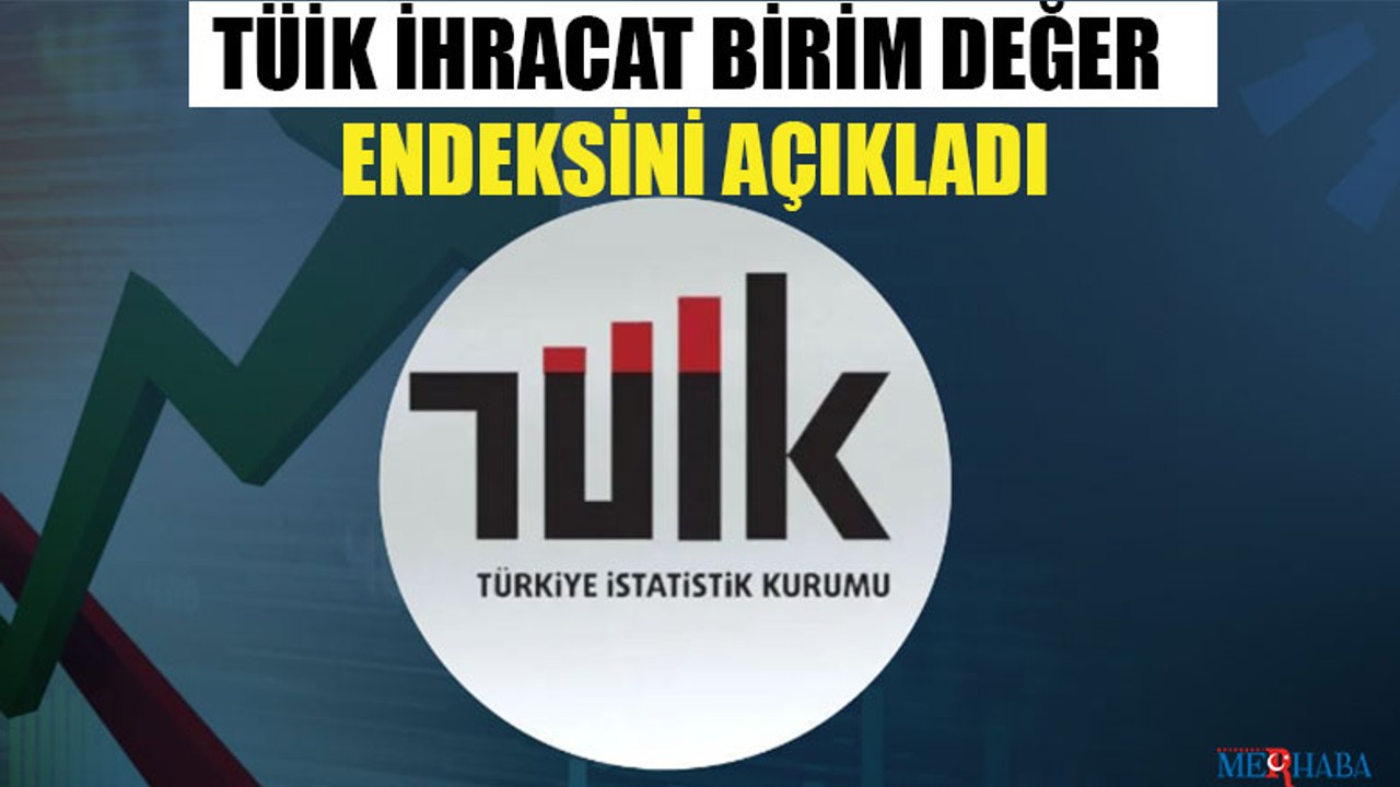 TÜİK İhracat Birim Değer Endeksini Açıkladı