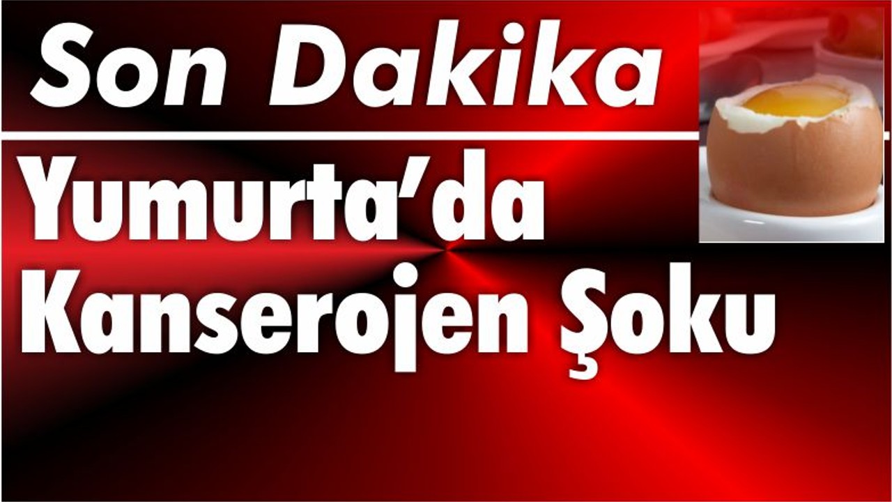 Yumurta İhracatında Kanserojen Şoku