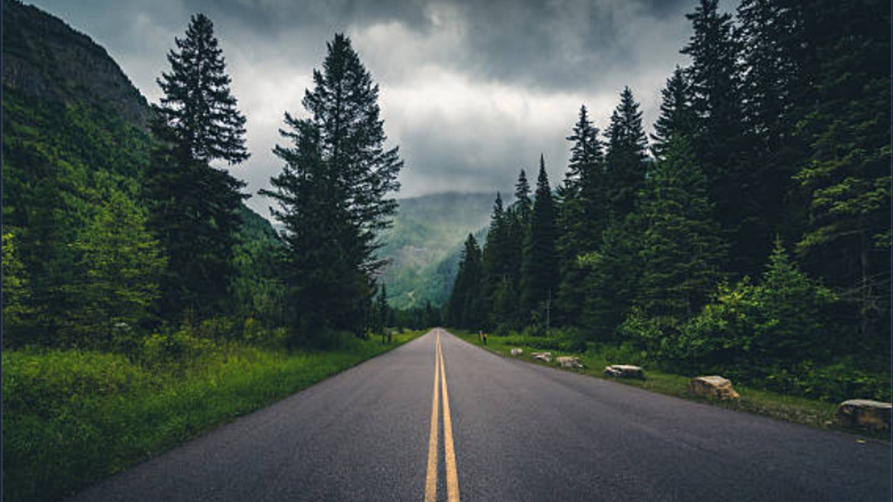 Orman Yolu Sanat Yapısı Yaptırılacak