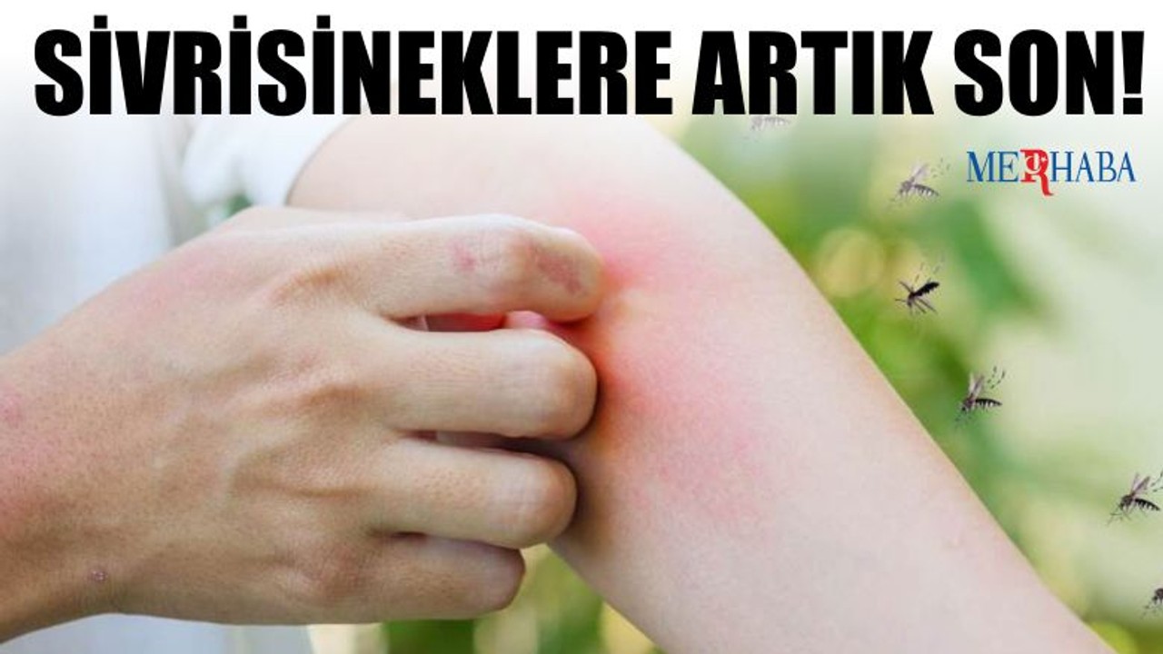 Sivrisineklere Doğal Çözüm