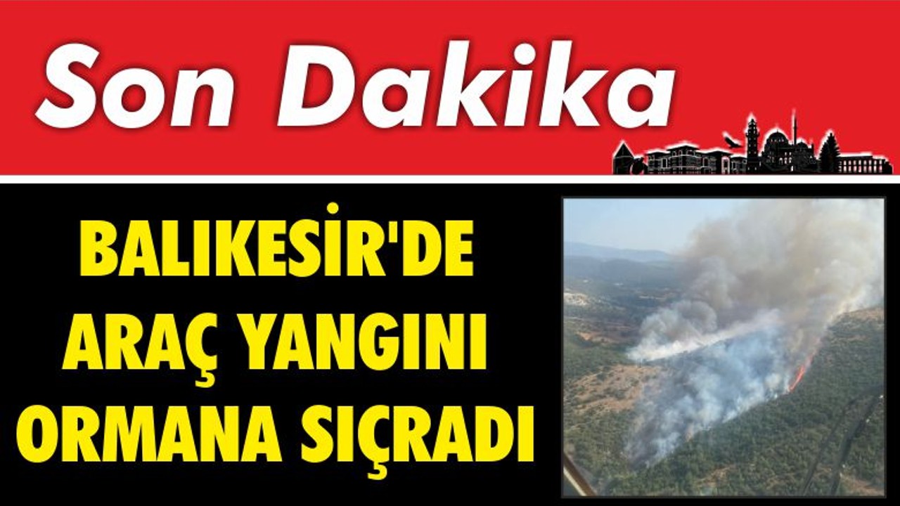 Araç Yangını Ormana Sıçradı