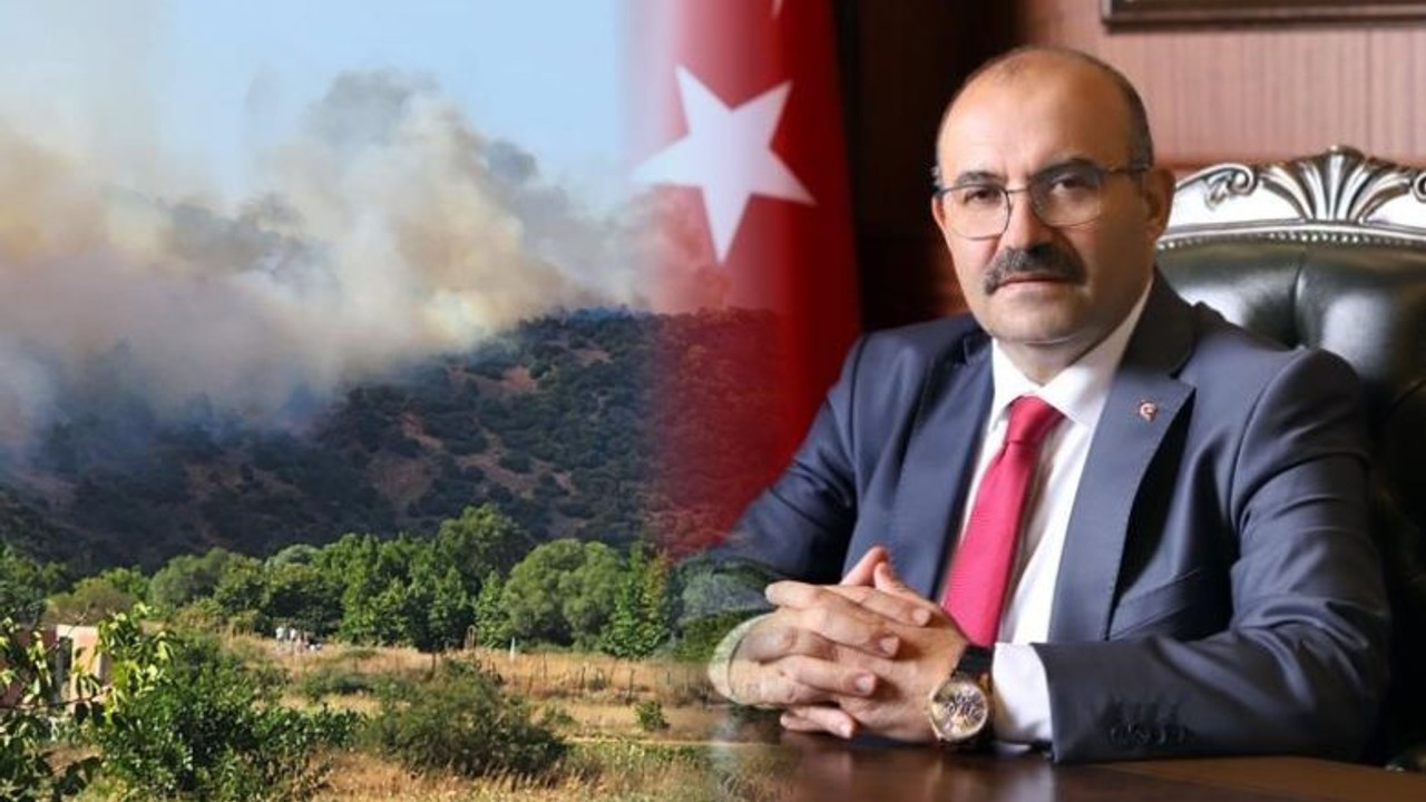 Balıkesir Valisi Ustaoğlu Yangın Hakkında Son Durumu Paylaştı