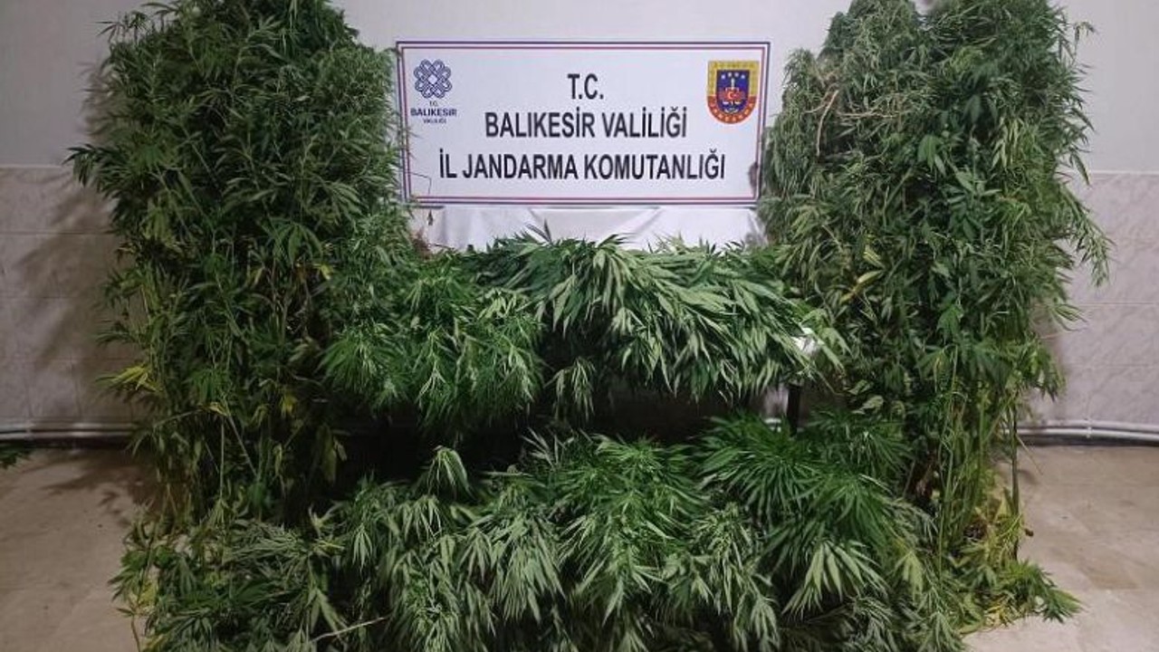 Balıkesir'de Eş Zamanlı Uyuşturucu Operasyonu