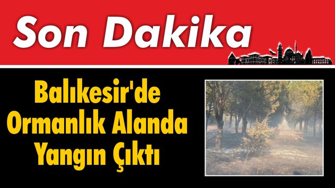Balıkesir'de Ormanlık Alanda Yangın Çıktı