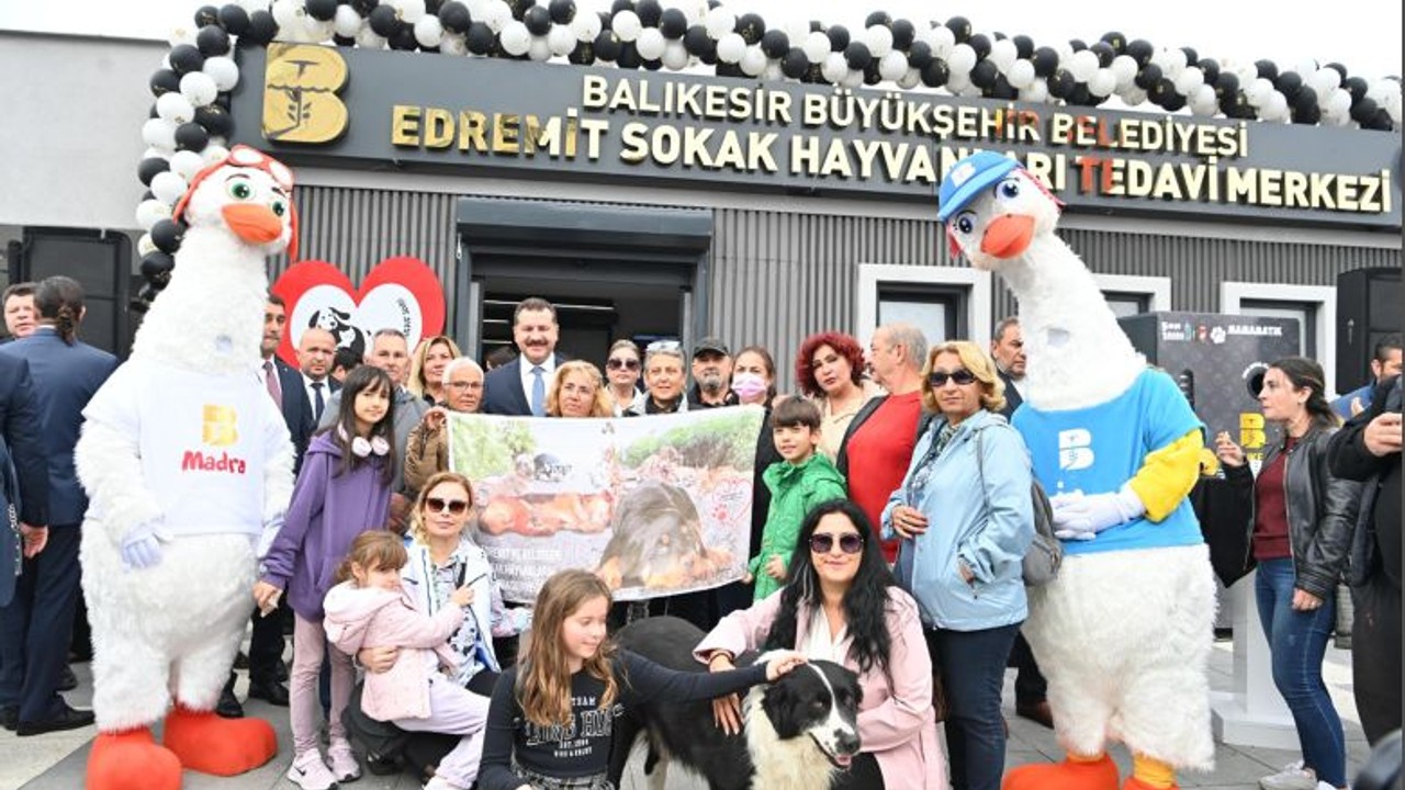 Balıkesir'de Sokak Hayvanları Yalnız Değil