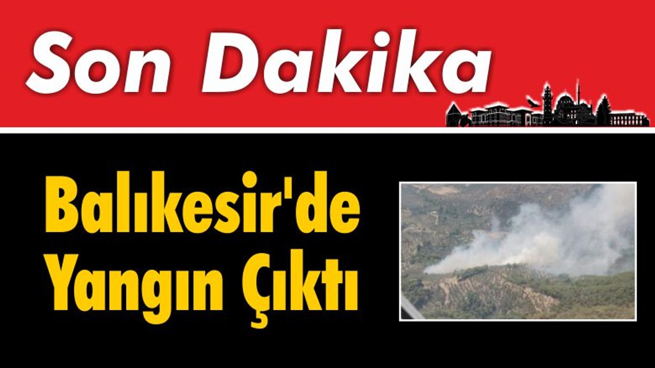 Son Dakika Balıkesir'de Yangın Çıktı