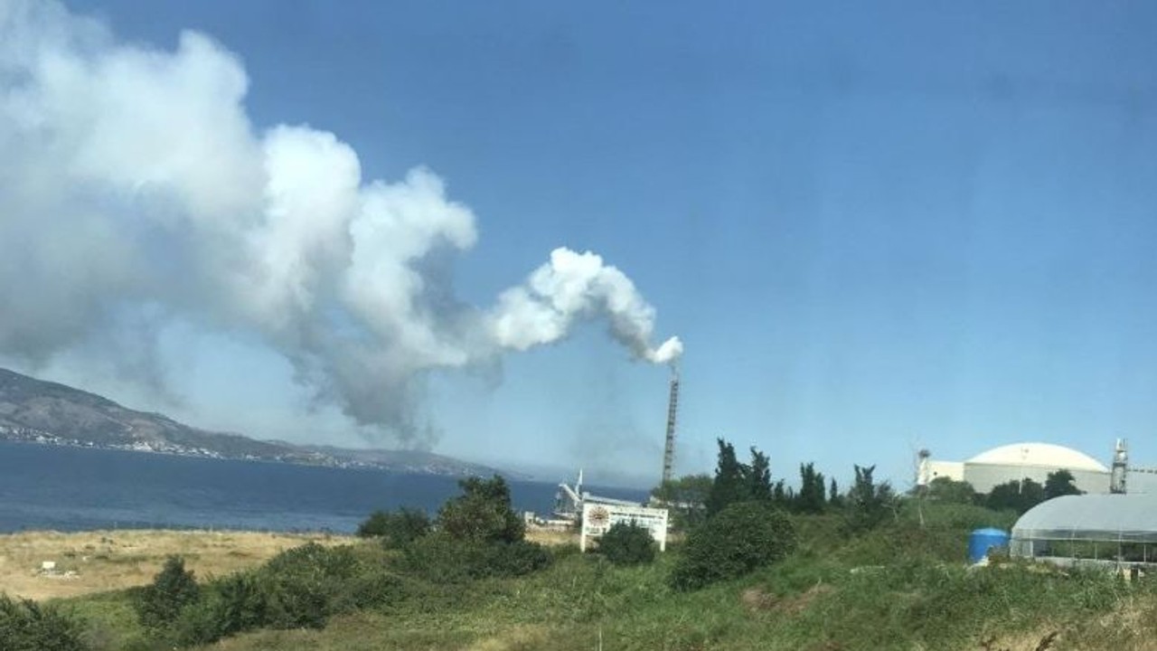 Bandırma'da Asit Dumanı Krizi ! Halk İsyan Etti