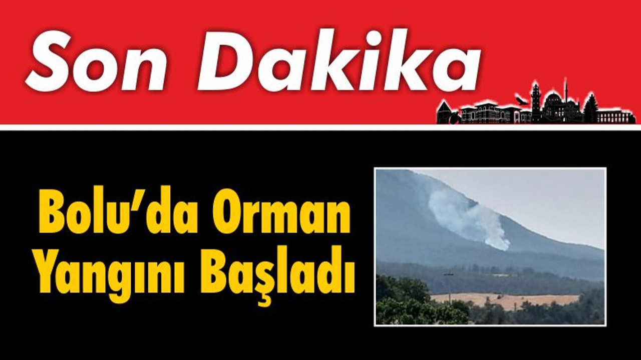 Bolu’da Orman Yangını Başladı