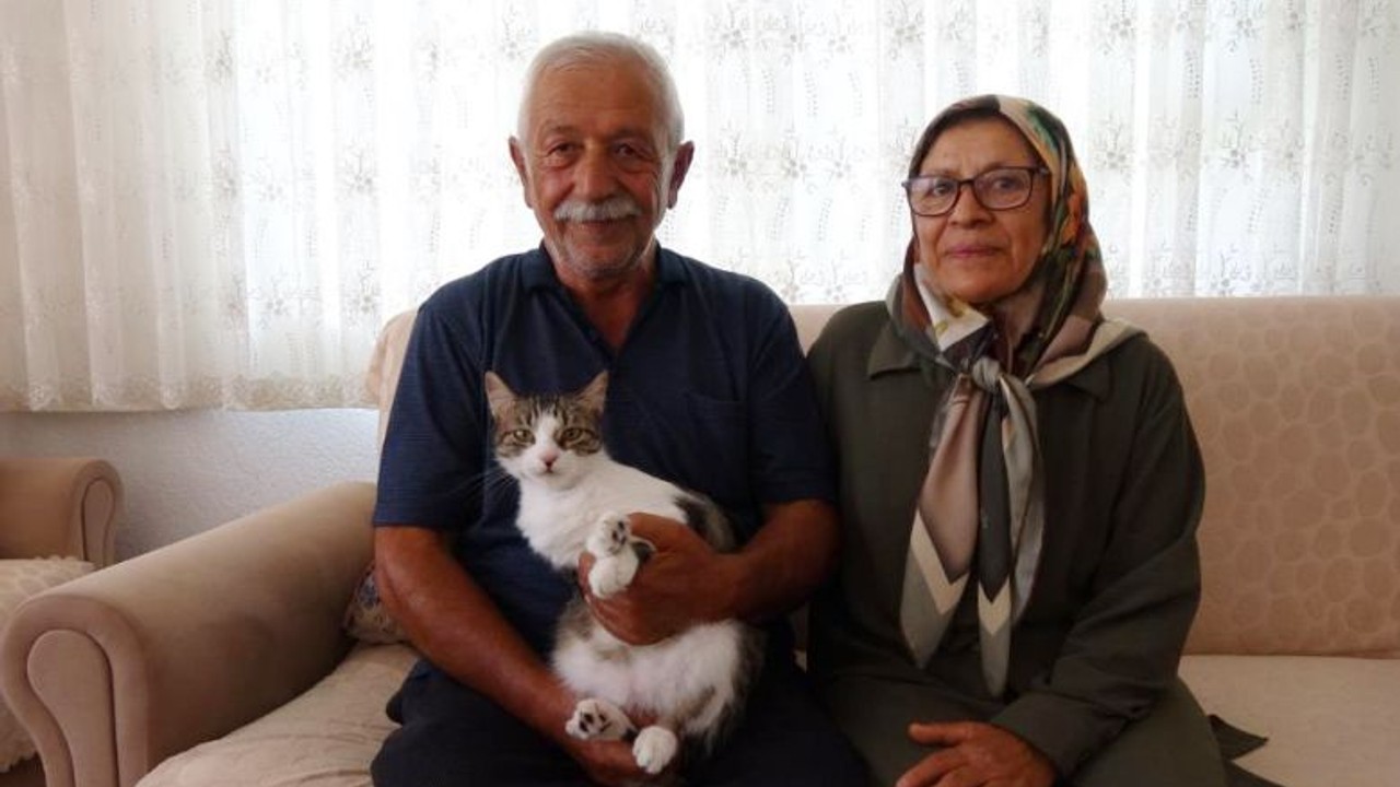 Depremde Kaybettikleri Kedilerini Geri Dönüp 5 Ay Sonra Buldular